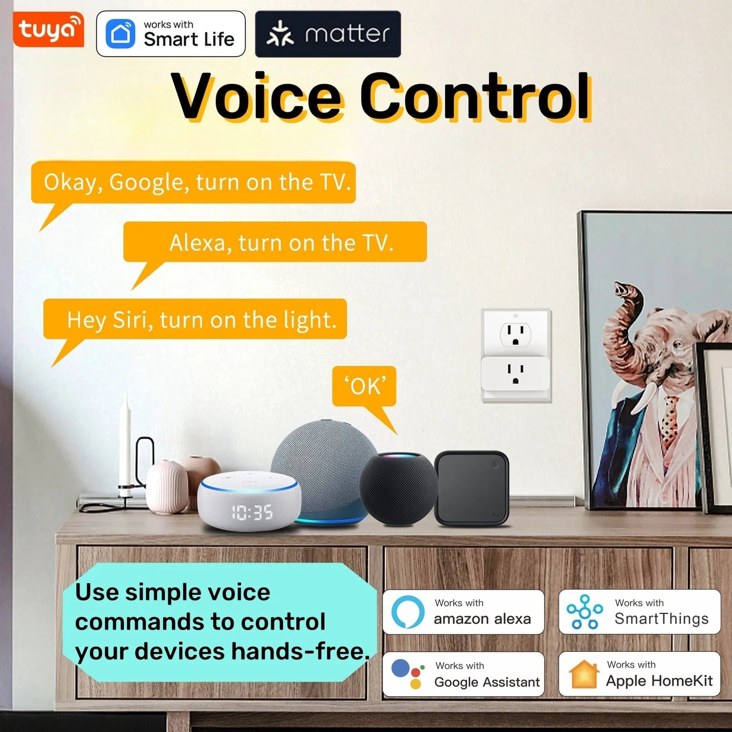 WiFi Smart Socket 10A Works with Alexa & Google